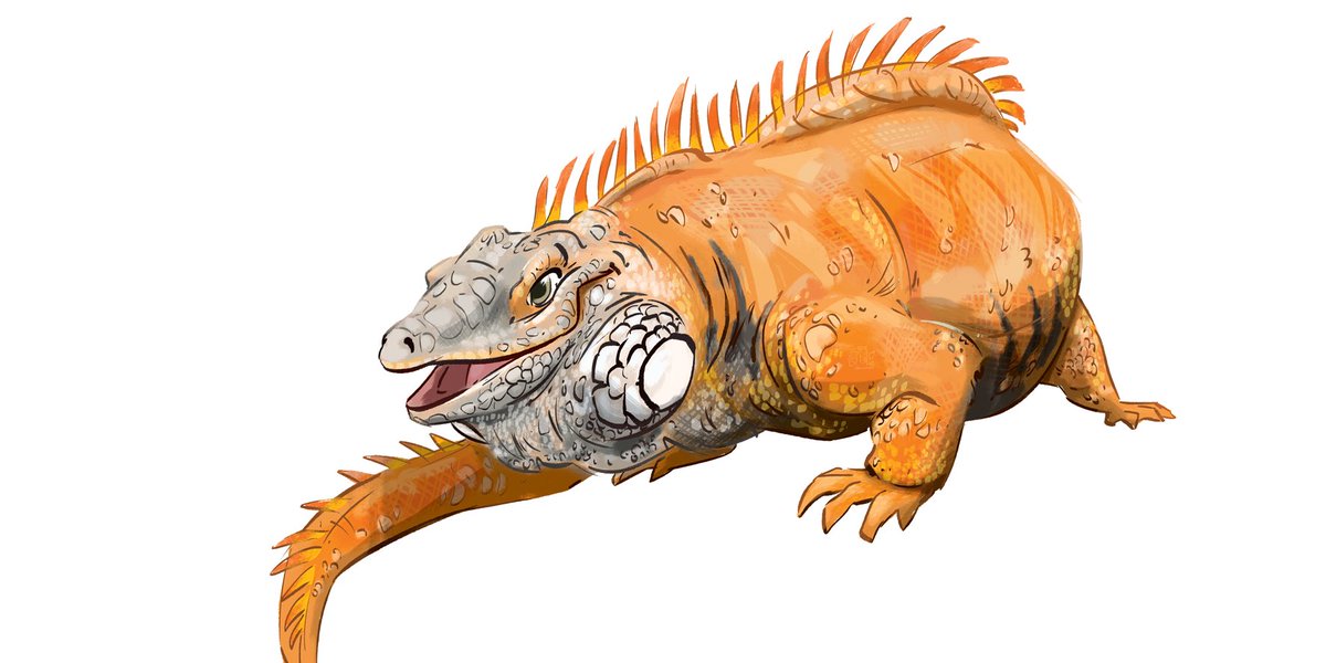StripedDesigns's tweet photo. I had too much fun yesterday so I had to draw more ^___^ 

#lizard #iguana #reptile #illustration #drawing #painting #art #digitalart #stripeddesigns https://t.co/vU886P394q