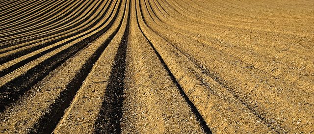 FarmingData's tweet image. 4 New Innovative Products in the Biopesticides Market hubs.ly/H09T0r_0 #mrx #marketresearch #agriculture #farm #biopesticide