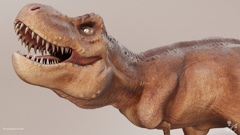 Kyan0s's tweet photo. The rendered version of my #TRex. 

#b3d #blender3d #3dmodeling #animal #dinosaur #3dart #3d https://t.co/ZcW2t7ana7