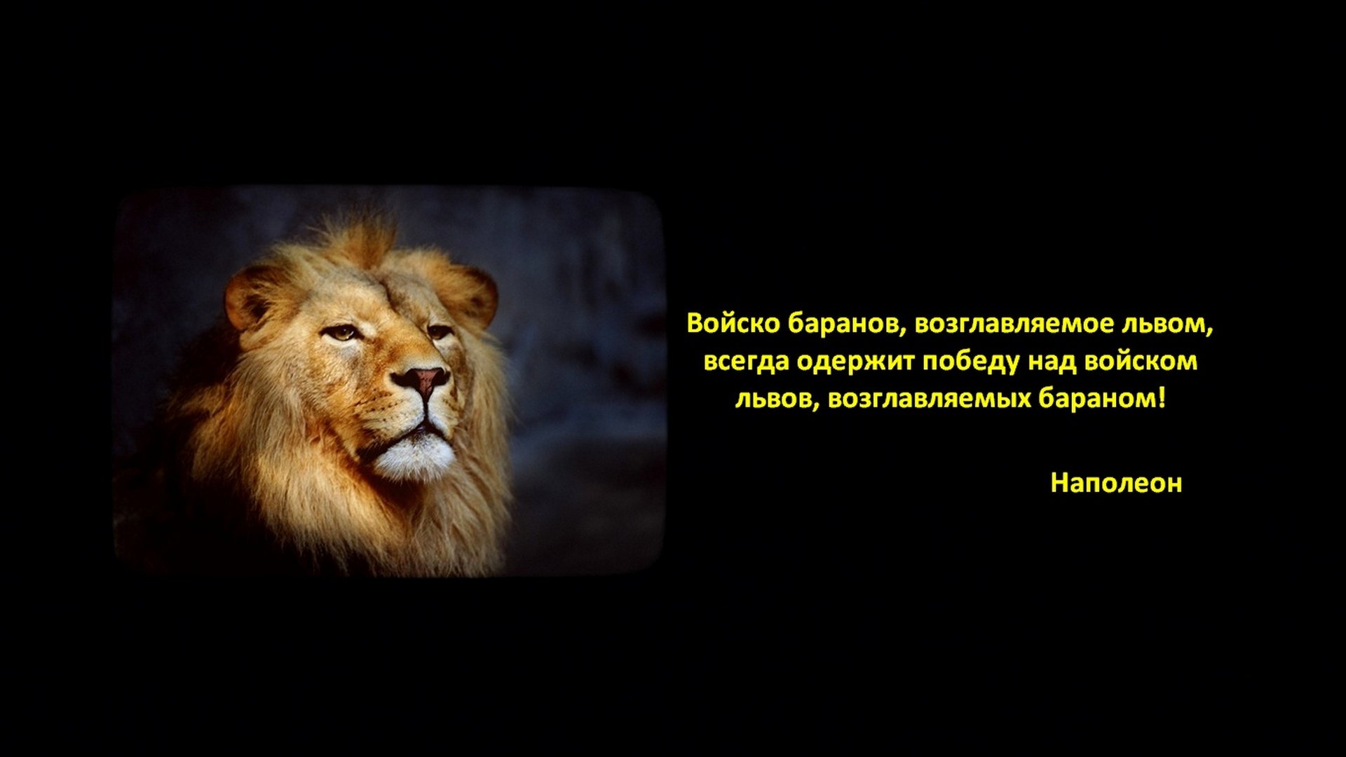 Войско Баранов возглавляемое львом всегда одержит победу
