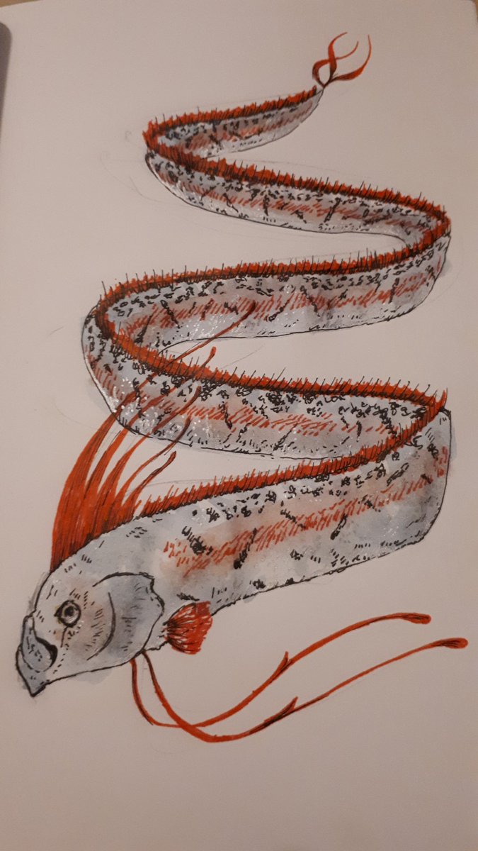 Fishbruary Hashtag On Twitter