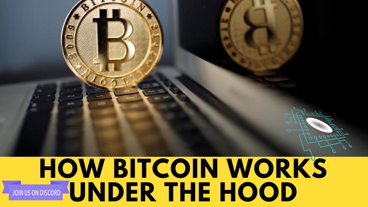 jptosca74's tweet photo. Crypto Force - How #bitcoin Works Under the Hood 💵

#ripple #xrp #ripplenet #cardano #ada #Tron #TRX #Bitcoin #BTC #verge #eth #Ethereum #xvg #xvgcurrency #WraithProtocol #crypto #cryptocurrency #news #Binance #Bitstamp #Coinbase #Bithumb #Bittrex #Bitfinex #Poloniex #kraken https://t.co/qBvrdj6sbG