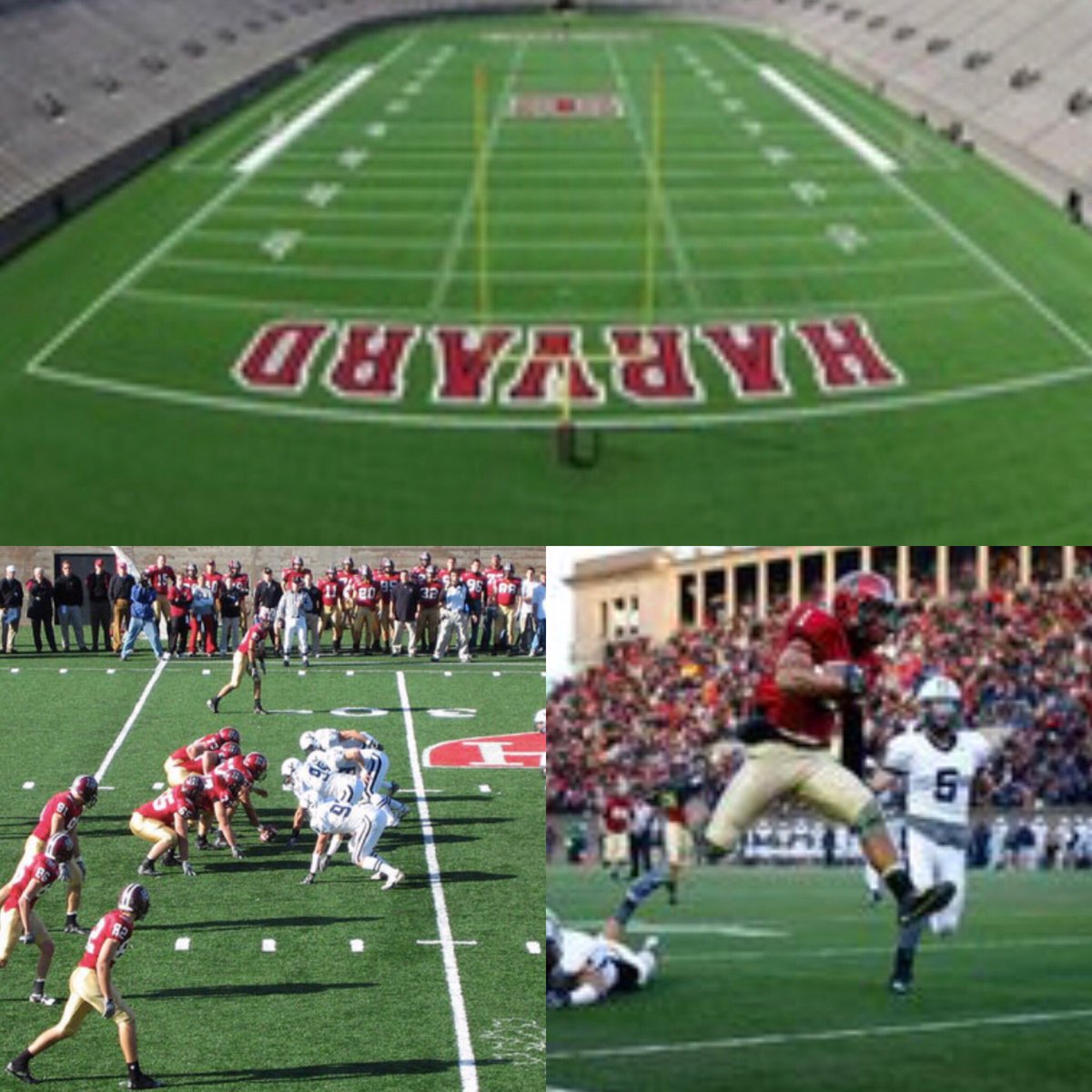 Blessed to receive an offer from Harvard university ✅
