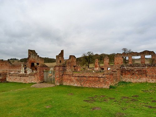 🦅Finding Nature tweet media