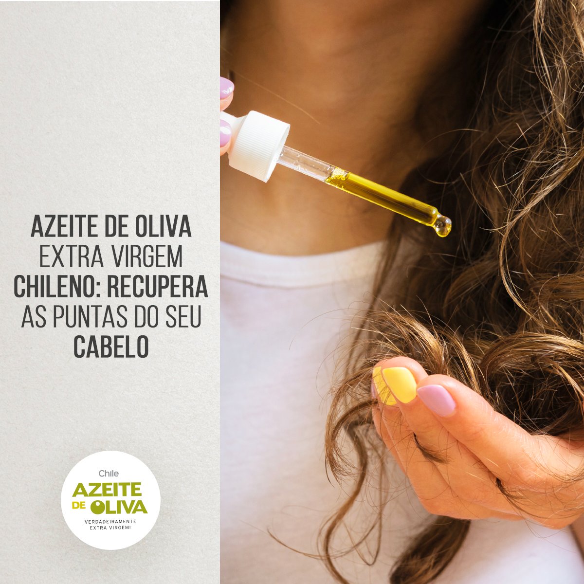 ChileOliveOil tweet media