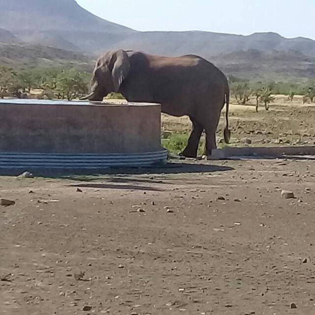 Interface do Fairspin Casino