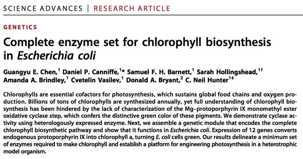 gdubeaux's tweet photo. Interesting one! In a new article published in @ScienceAdvances, the authors assembled a genetic module that encodes the complete chlorophyll biosynthetic pathway and showed that it functions in E. coli! #GDJournalClub https://t.co/IArnGCaygf https://t.co/TzF7XmyRvD
