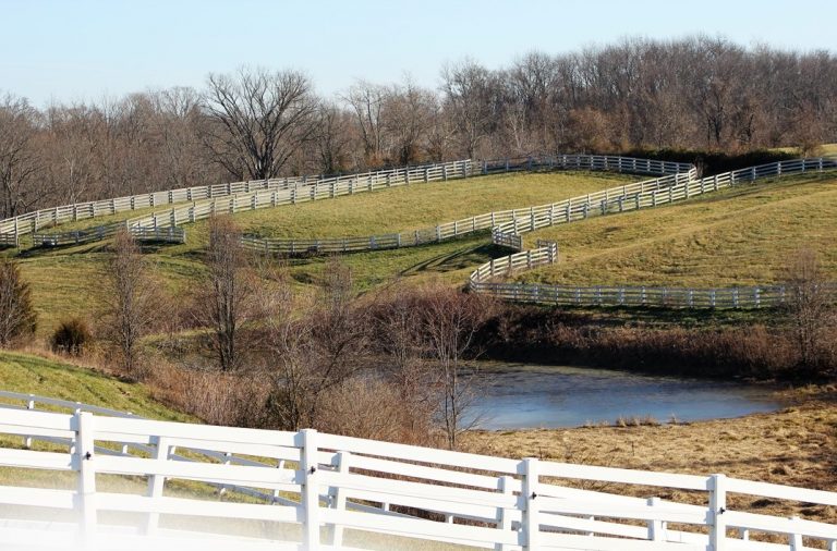 NKyTribune, Jan. 30, 2018:New Day Equine Achievement Program moves its home to Steve Caut... conta.cc/2GyqSlk