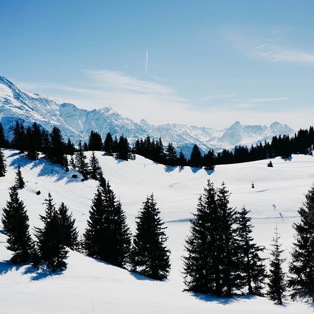 Souvenir des Houches ❄️
Je compte les jours avant mon retour à Chamonix dans quelques semaines... Ski, balades, raclette, j'ai follement hâte ! 😃 ift.tt/2ErfNBC