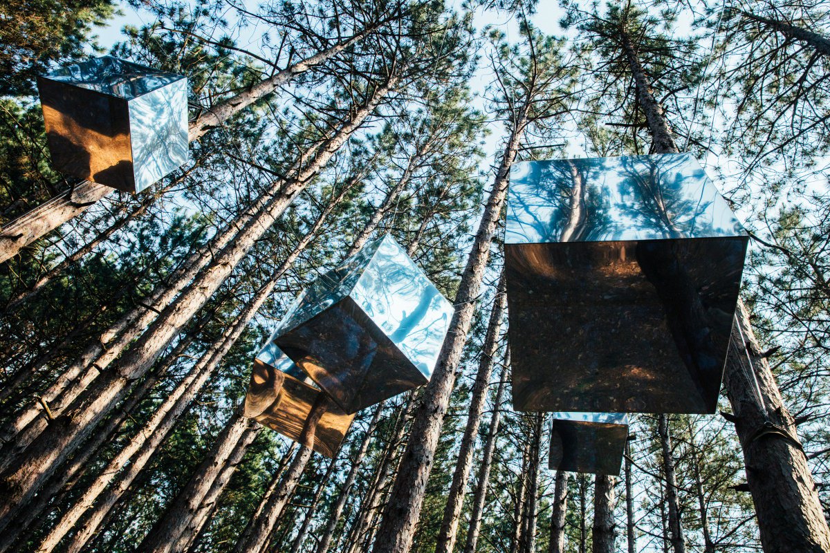 Electric_Forest's tweet image. If you have an artistic or sustainable vision sparked by The Forest, the Art Installation Sponsorship and Green Monarch programs are the chance to bring your dreams to life.  ⚡🌲 #EF2018 #ForestFamily 

ElectricForestFestival.com/plug-in/