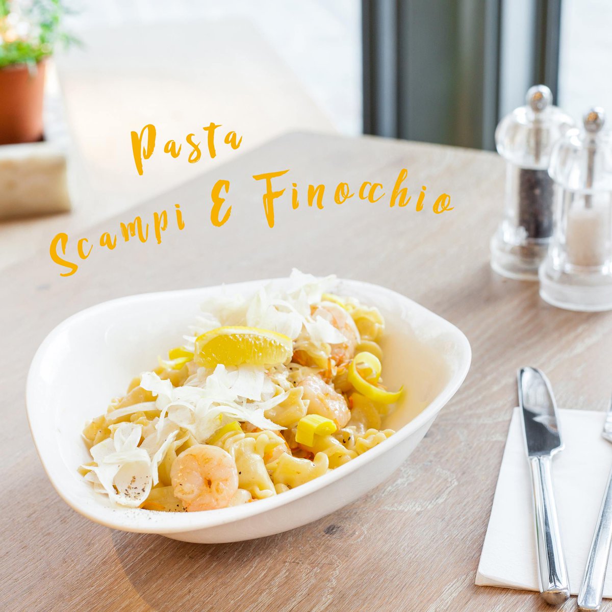 Vapiano_Fr's tweet photo. On craque pour les nouvelles suggestions de nos Vapianisti 😻
#vapiano #lovevapiano #myfoodstyle #italianfood #italian #homemade #homeoffreshness #cucinaitaliana #pasta #pizza #insalata #risotto #dolci #dessert #salad #soup #italiancuisine #buonappetito #suggestions #specials https://t.co/e0Jx7TonCr