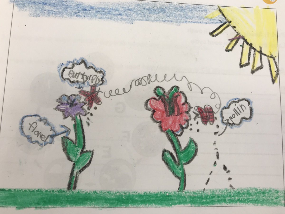 My grade 2 Ss from <a href="/coutureamy1/">Amy Couture</a> class are starting to learn about pollination in their <a href="/PLTWorg/">Project Lead The Way</a> module.  #CHESlovesPLTW #CHESWEARETHEBEST <a href="/BeekmantownCSD/">Beekmantown CSD</a>