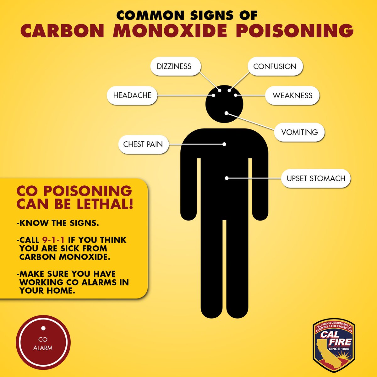 Carbon Monoxide Poisoning / Carbon Monoxide Symptoms Kidde The most