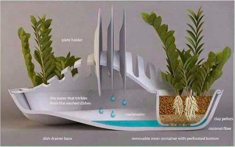 Helping with the dishes tonight? Hand wash your dishes sustainably by soaking them in soapy water &amp; scrubbing them with the faucet turned off. Only turn the faucet back on when you’re ready to rinse. Check out this cool drying rack to put your grey water to use. #TuesdaySolutions