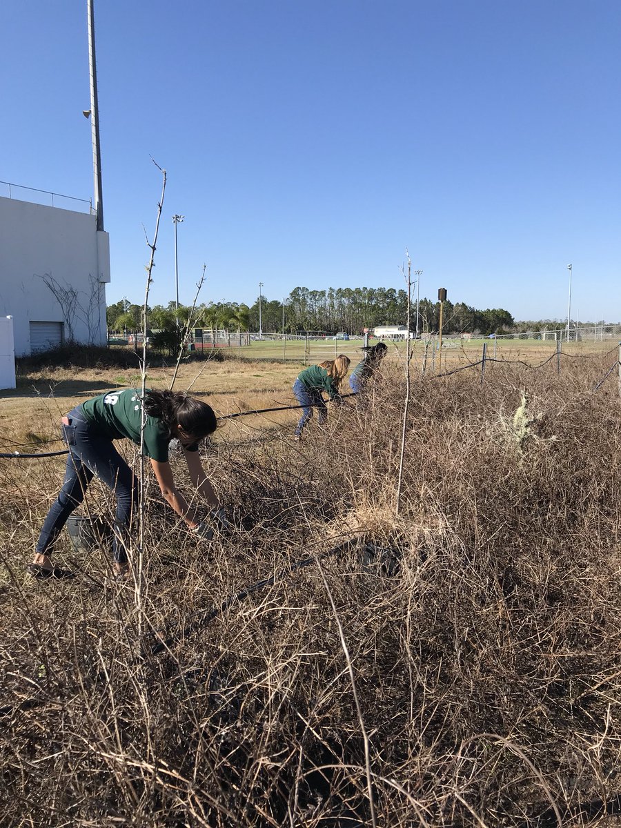 bunnellffa's tweet photo. Bringing the FPC 🌳 nursery back to life! @simsdustin5 @lcshott @FPCHS #classroomtocareer #BelieveInspireImpact #CommunityService @dddddeliaaaaa https://t.co/dW4oIat6R7