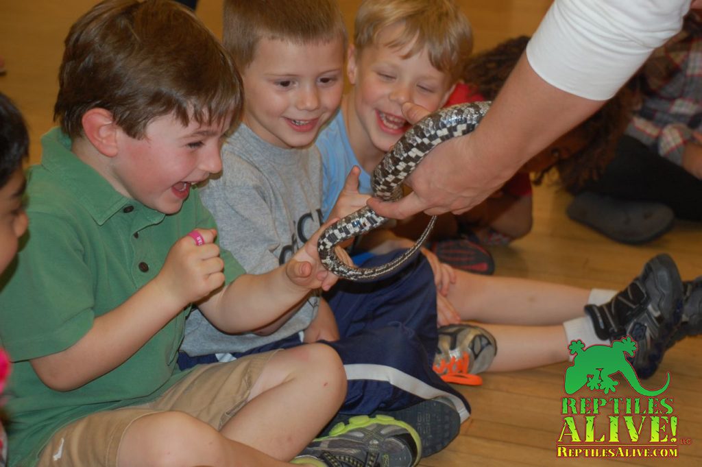 CompassSchoolUS's tweet image. Please join us on Saturday February 24, 2018 from 10:30AM-1PM for a fun family
day with refreshments, children’s activities, a moon bounce &amp;amp; a show (plus “meet
&amp;amp; greet”) by #Reptiles Alive! Please invite a friend!
44128 Navajo Drive #Ashburn VA 20147 #Free