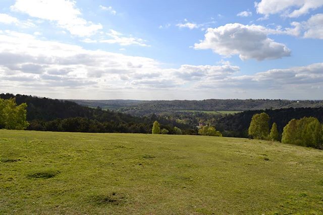 DP_Symposium's tweet photo. Box Hill
.
.
.
.
.
#landscape_lovers #landscapephotography #landscapelovers #landscape_captures #landscapes #hiking #trees #scenery #outdoors #woods #woodland #lake #instanature #tree #water #forest #naturelover #panorama #autumn #skylovers https://t.co/fjocseTL5U https://t.co/D6UbGDfLRU