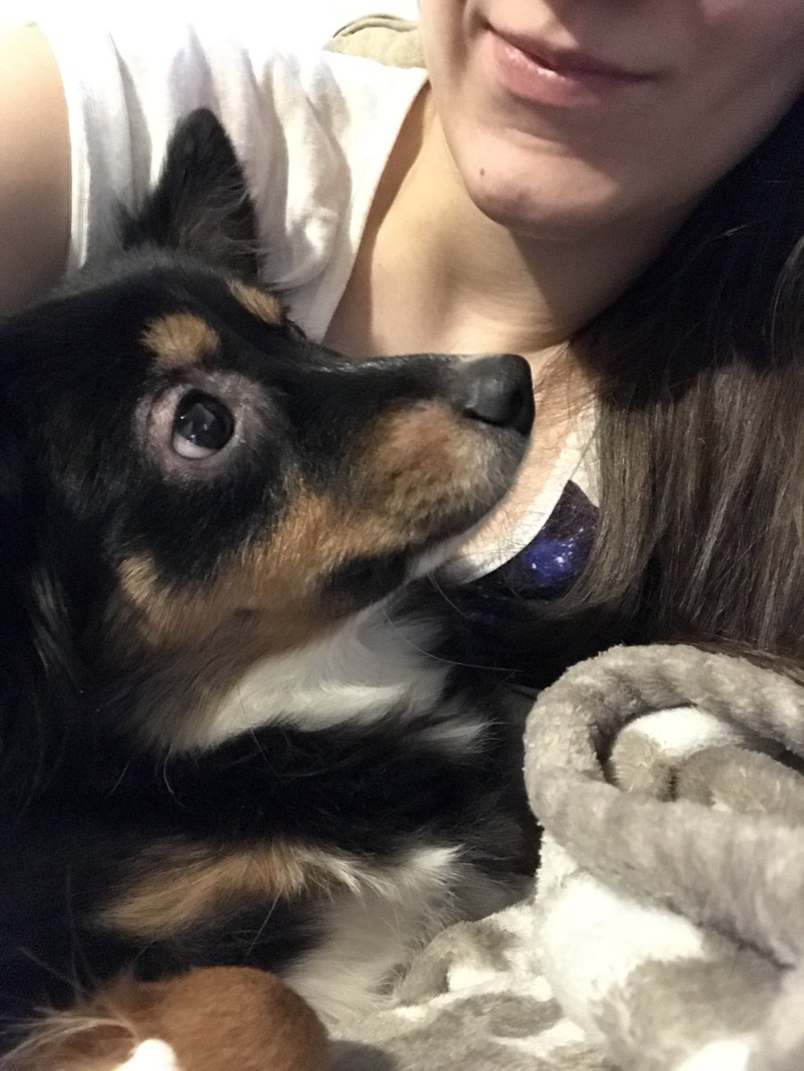 The only one who truly loves me and never hurts me. Sad when you can’t trust human beings but I guess that’s how it is...