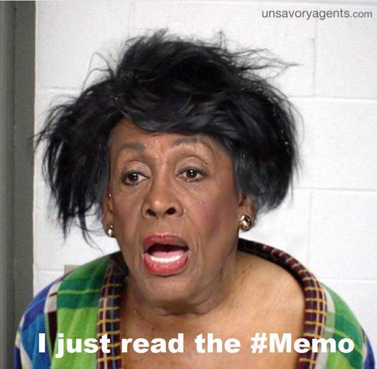 No factual inaccuracies says FBI in FISA abuse memo #ReleaseTheMemo