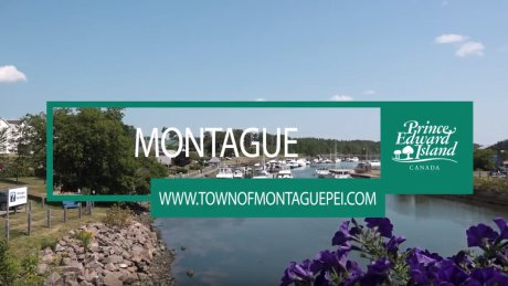 CBCPEI's tweet photo. Province hopes YouTube videos attract newcomers to rural P.E.I. https://t.co/kTcBm9XvOu #pei https://t.co/vuWm4ksJYW