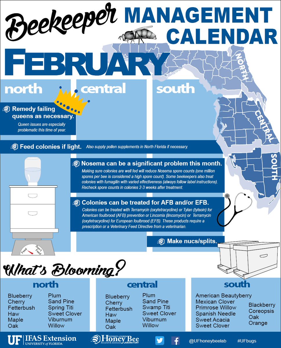 UFhoneybeelab's tweet photo. Check out the February beekeeper management calendar on the #ufhoneybeelab #MelittoFiles blog! What will you be working on this month? #ufbugs #honeybees #beekeeping https://t.co/GKM70ci9Nj https://t.co/WXnZuEKOSb
