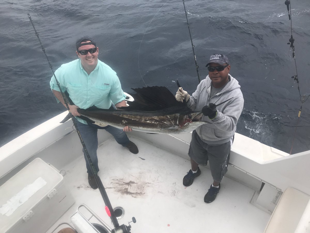 NewLatt Sportfishing tweet media