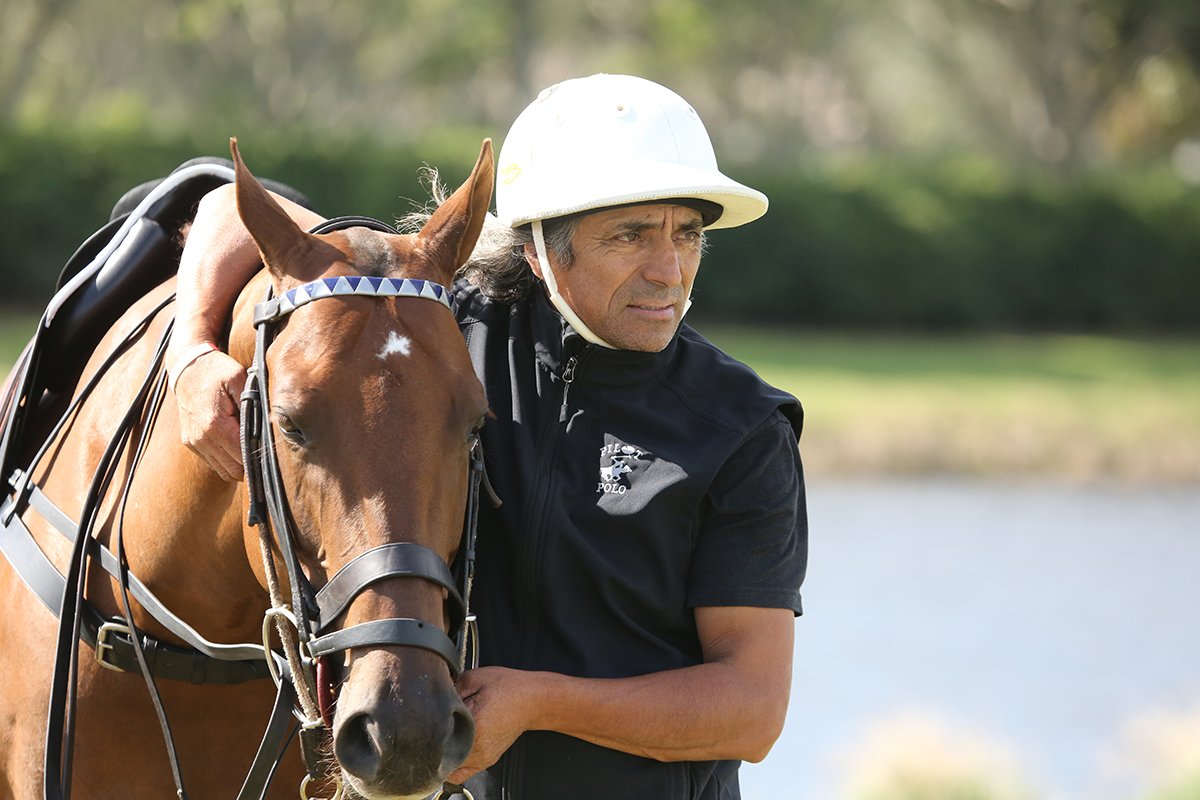 PoloAssociation's tweet photo. Zorrino: A Lifetime in High-Goal Polo 👉 https://t.co/RuxMKpbD2F 
📷: @lominska https://t.co/4tL4os6Cpg