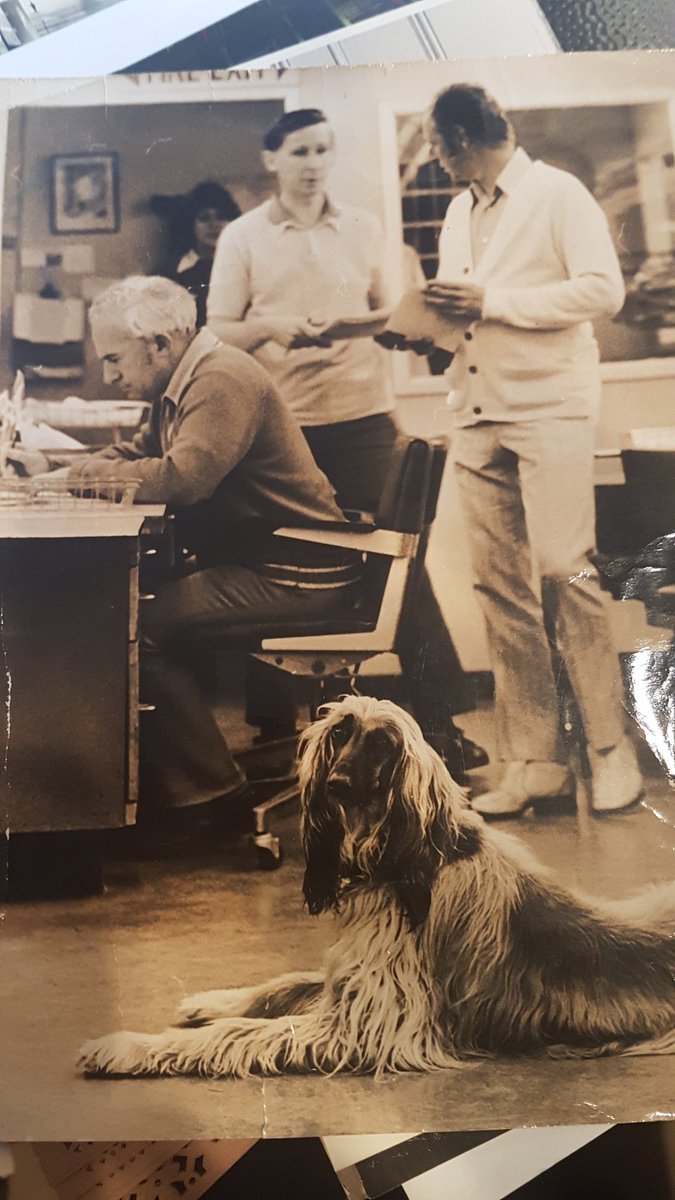 vcarternz's tweet photo. Was this the first dog allowed to go to work? Circa 1973 #aucklandstar #patbooth #newroom #Afghan
#newspapers #History https://t.co/rmlYqe2sX4