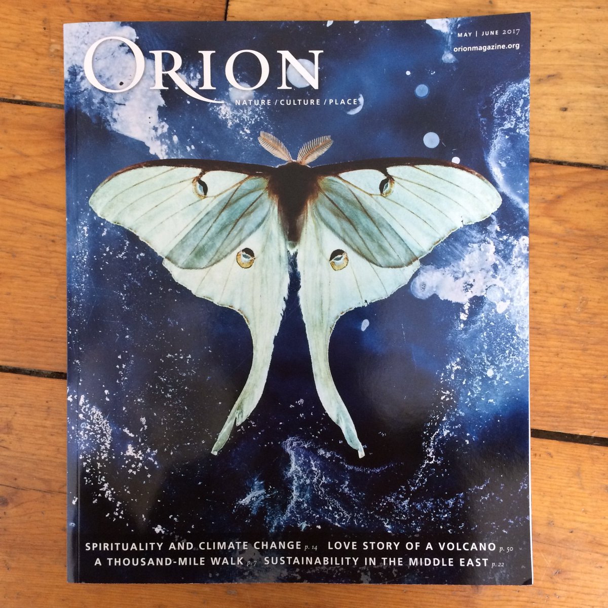Orion_Magazine's tweet photo. It's super. It's blue. It will eclipse the blank space on your wall. Oh, and it comes with a subscription to Orion! 

Our new Luna Moth cover poster: https://t.co/xGCgKVHhpV https://t.co/WLK3EOTbel