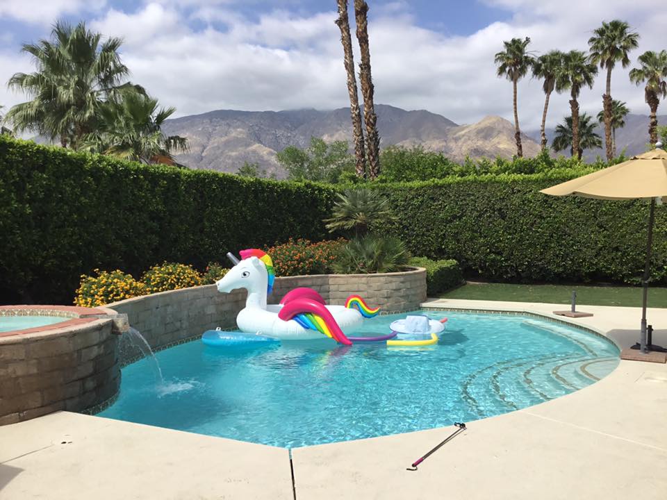Happy #PlanForVacation Day! It's a perfect day to plan your next visit to the #palmsprings area. Check out our portfolio to inspire your next desert getaway: OranjPalm.com