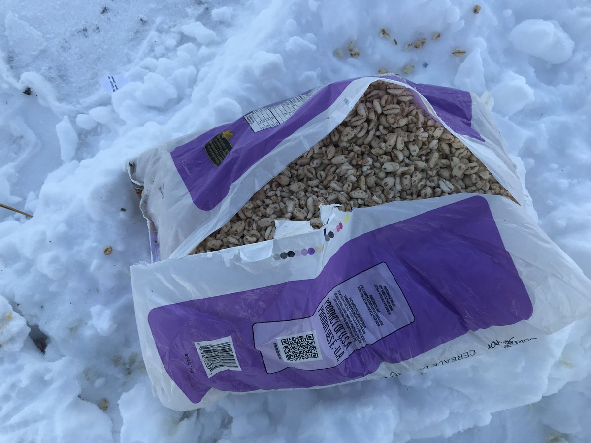 EcologyNorth's tweet photo. Thanks for the cereal, compost microorganisms will enjoy! Plastic not so much. #compostnotcompost Don't forget to empty your bag or we have to #coldjob@OurYellowknife https://t.co/FCCKqpBqzG