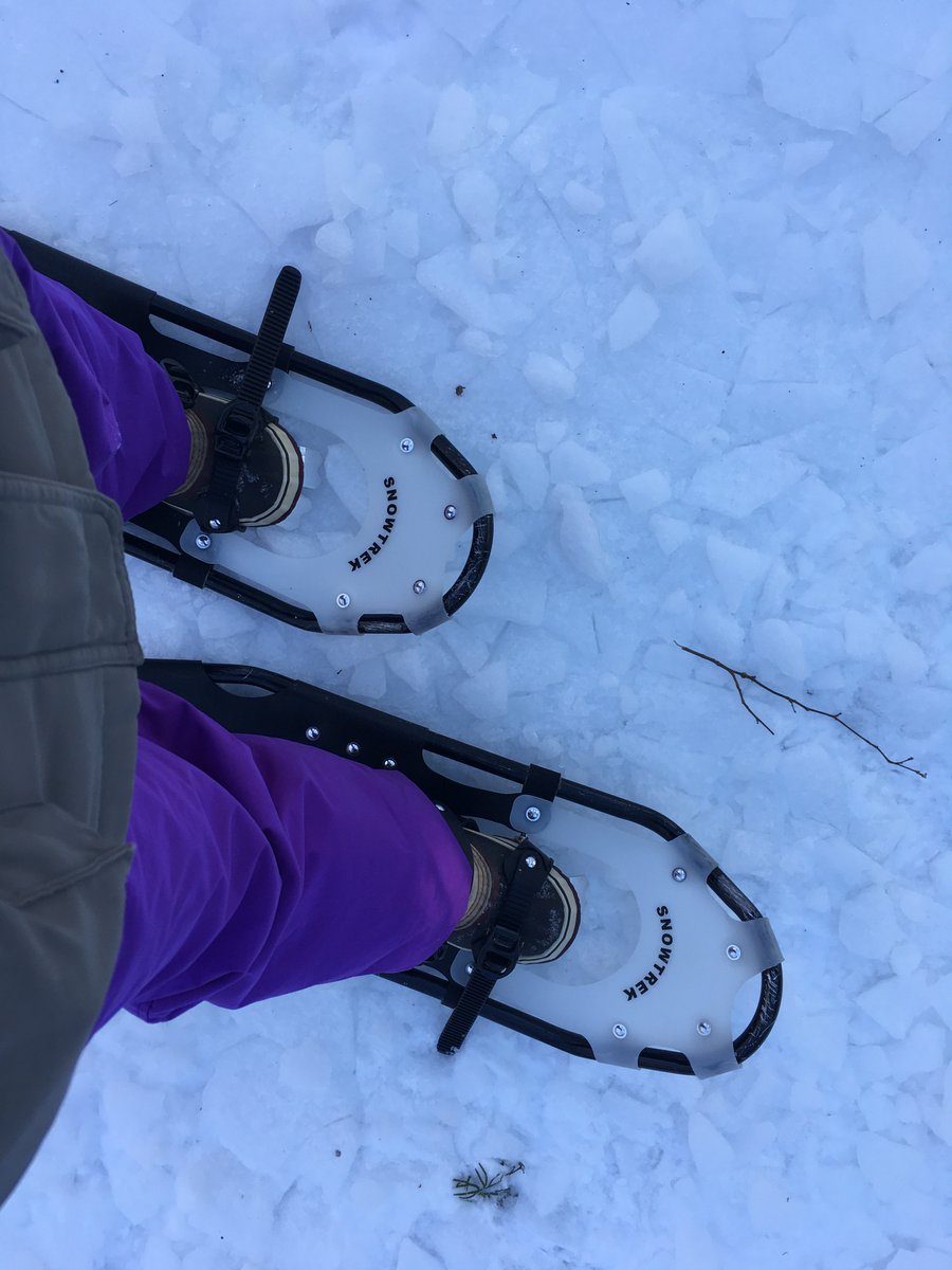 MissLinleyMaher's tweet photo. Remembering a beautiful and chilly day of exploring at the Bill Mason Centre! #getoutside Thanks for having Grade 5's and Grade 6's! @OCDSBoec @ocdsbswcps https://t.co/0AodkkRuAA