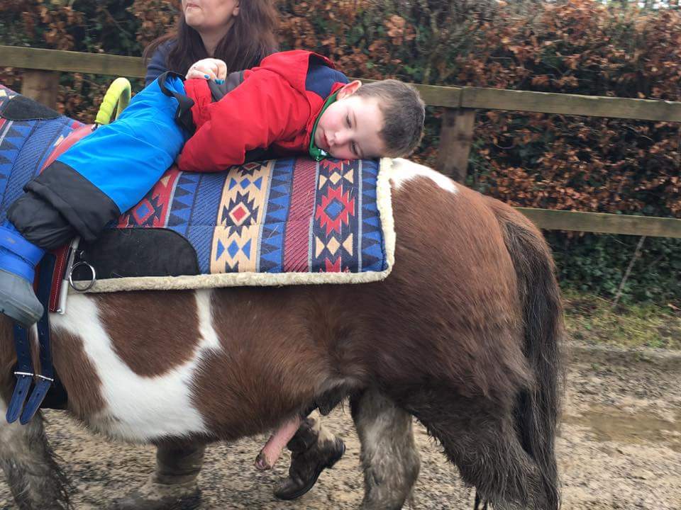 Two gorgeous pics of Jack on our trusty steed, Beag on Saturday 🐴❤ Jack worked so hard & then had some nice relaxation & sensory input on Beag's back. Well done... a great session! #Ability #EquineAssistedTherapy