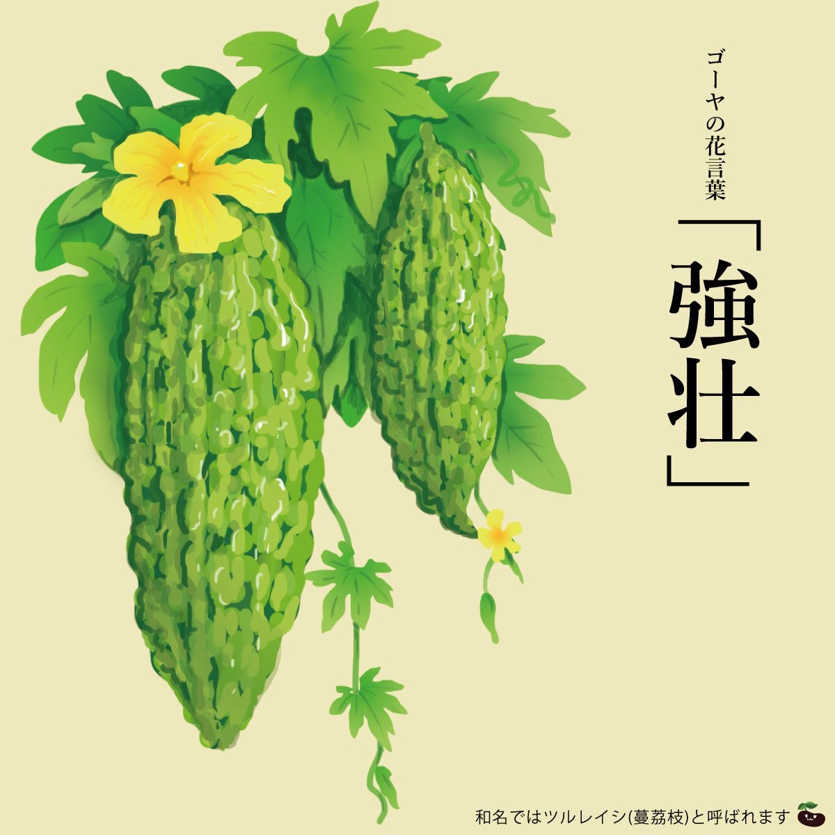 はな言葉fan 厳選 きょう5月8日は ゴーヤーの日 ゴー 5 ヤー 8 の語呂合せと 沖縄県では5月を境にして ゴーヤー ニガウリ の出荷量が増えることから 沖縄県とja沖縄経済連が1997年に制定 ゴーヤーの花言葉 強壮 はな言葉 T Co