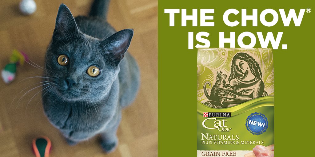 PurinaCatChow's tweet photo. How do you keep it grain free and still deliver complete nutrition? THE CHOW IS HOW. Naturals Grain Free provides 100% complete nutrition and no grains for adult cats. https://t.co/b8KkZsjuZN https://t.co/qCLD0bYuTO
