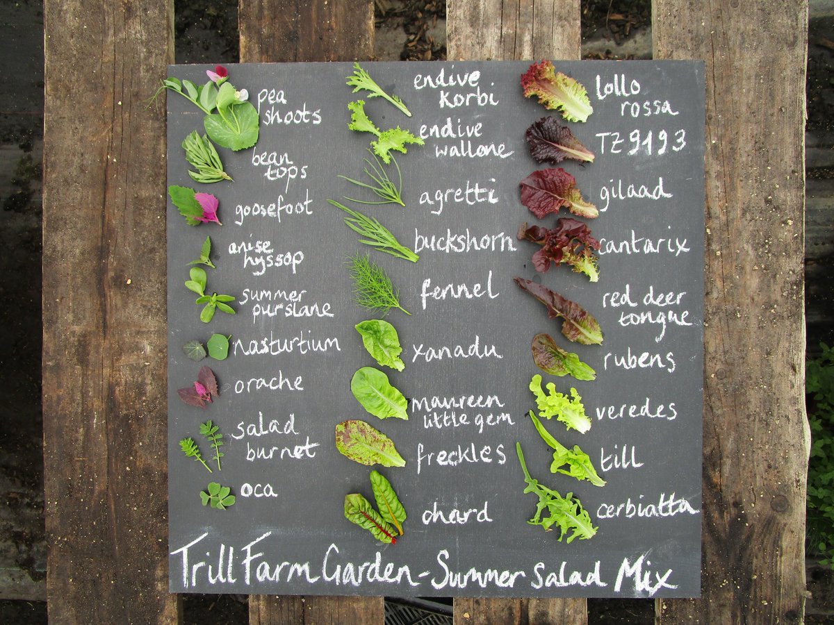 LandBase tweet media