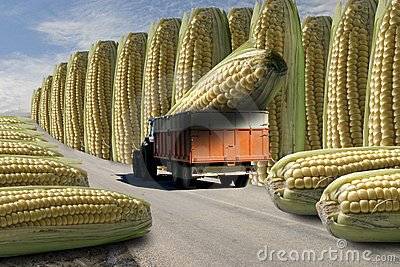 10 milhões sendo depositados na conta do Atlético!#FrangasCaloteiras