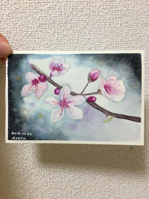 Astra’s pics and videos