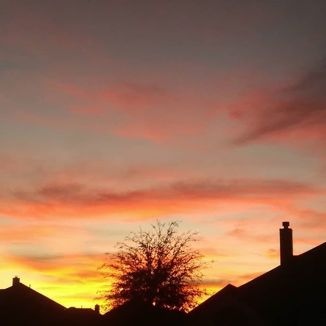 UP Elem Library tweet media