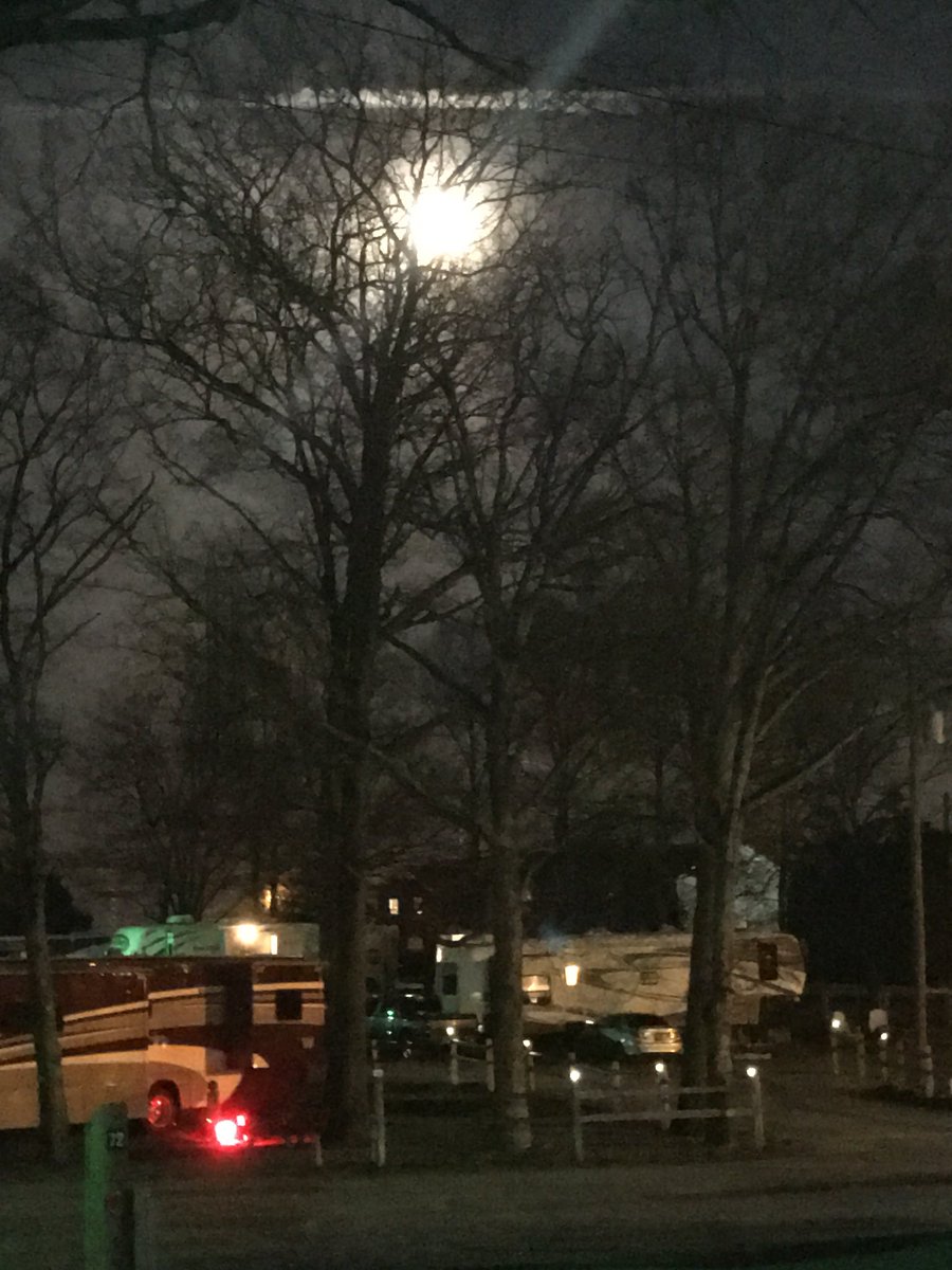 Campground moonlight. #throughthetrees #moonlight #moonglow #camping #campinglife #rvlife #rvliving #neverboring #tennessee