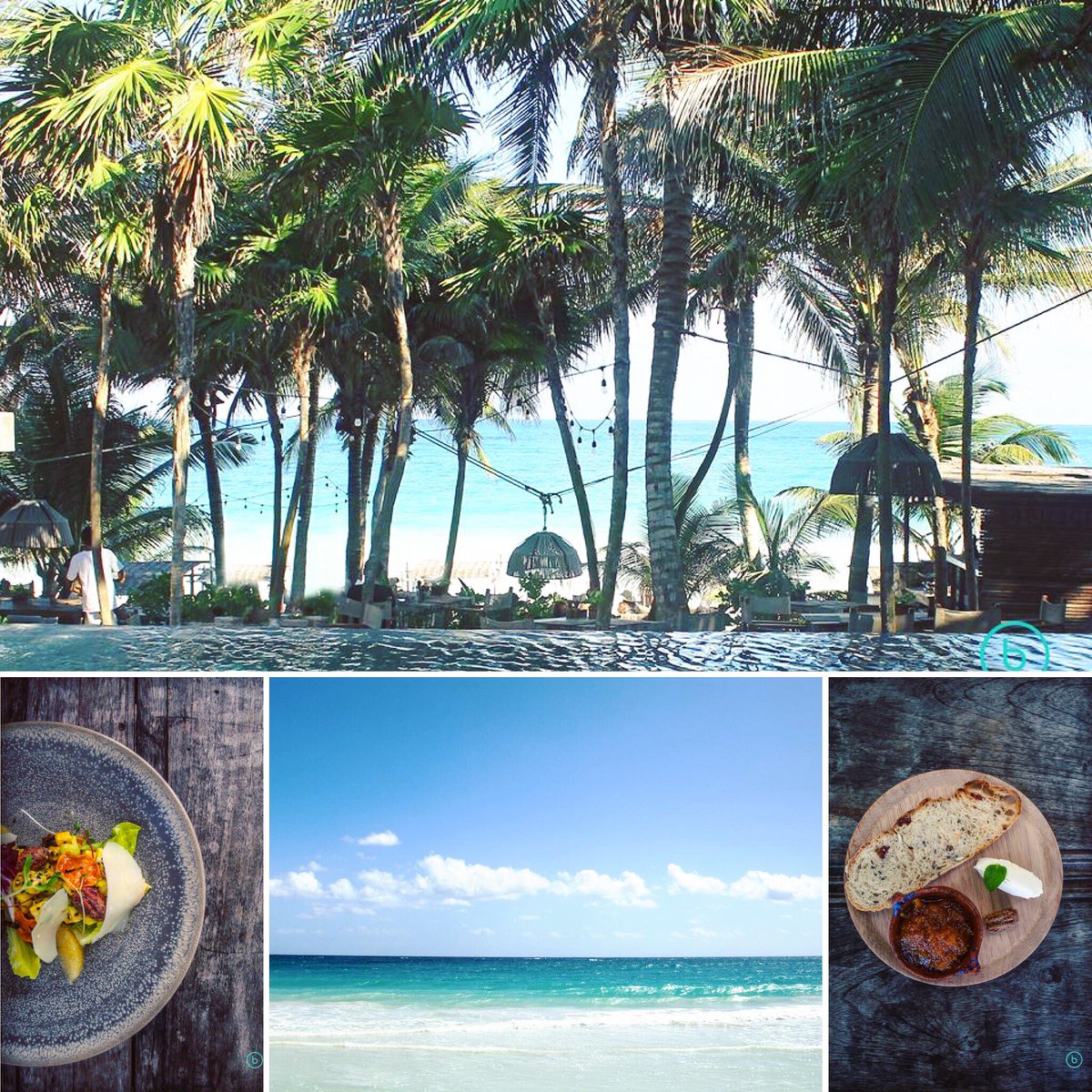 TulumFood's tweet image. Be Tulum🌺
The mixed ceviche is great along with the fresh daily seafood brought in straight from a fishing boat during the day 🐟
We love it ❤️
Link TulumFood Website: tulumfood.com/restaurants/tu…
#tulum #tulumfood #tulumrestaurant #mexicanfood #tulumtown #tulummexico #tulumlife