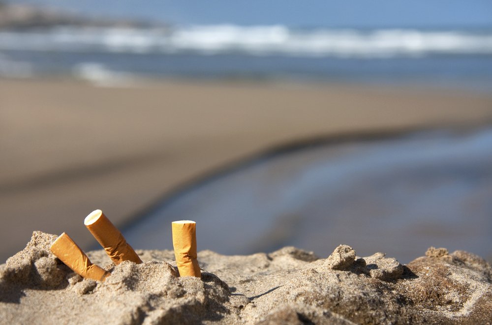 OPC_California's tweet photo. Do you hate litter on the beach and in the ocean? We want to hear from you! @OPC_California just released the new draft #California #Ocean #Litter Strategy and we want your input! Check it out online at https://t.co/JitJEJtlnp and send in your comments by Feb 23rd. https://t.co/HW3i3KPzst