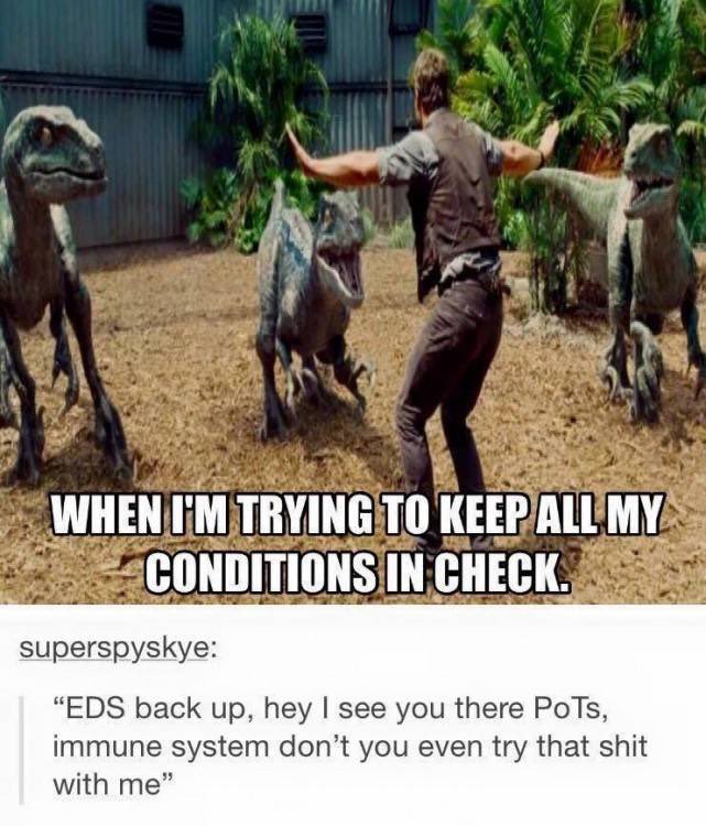 wheresmyspoons's tweet photo. Amirite? #spoonie #chronicillness #EDS #EhlersDanlos #EhlersDanlosSyndrome #POTS #chiari #MCAD #Mastcell #immunesystem #autoimmune #spoonieLife #spoonieproblems #chronicpain #chronicillnessproblems #edsprobs https://t.co/sON1XWOgKH