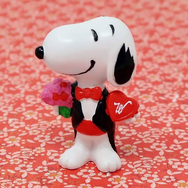 Night on the town! #snoopy #whitmanschocolate #figurine #chocolate #flowers...