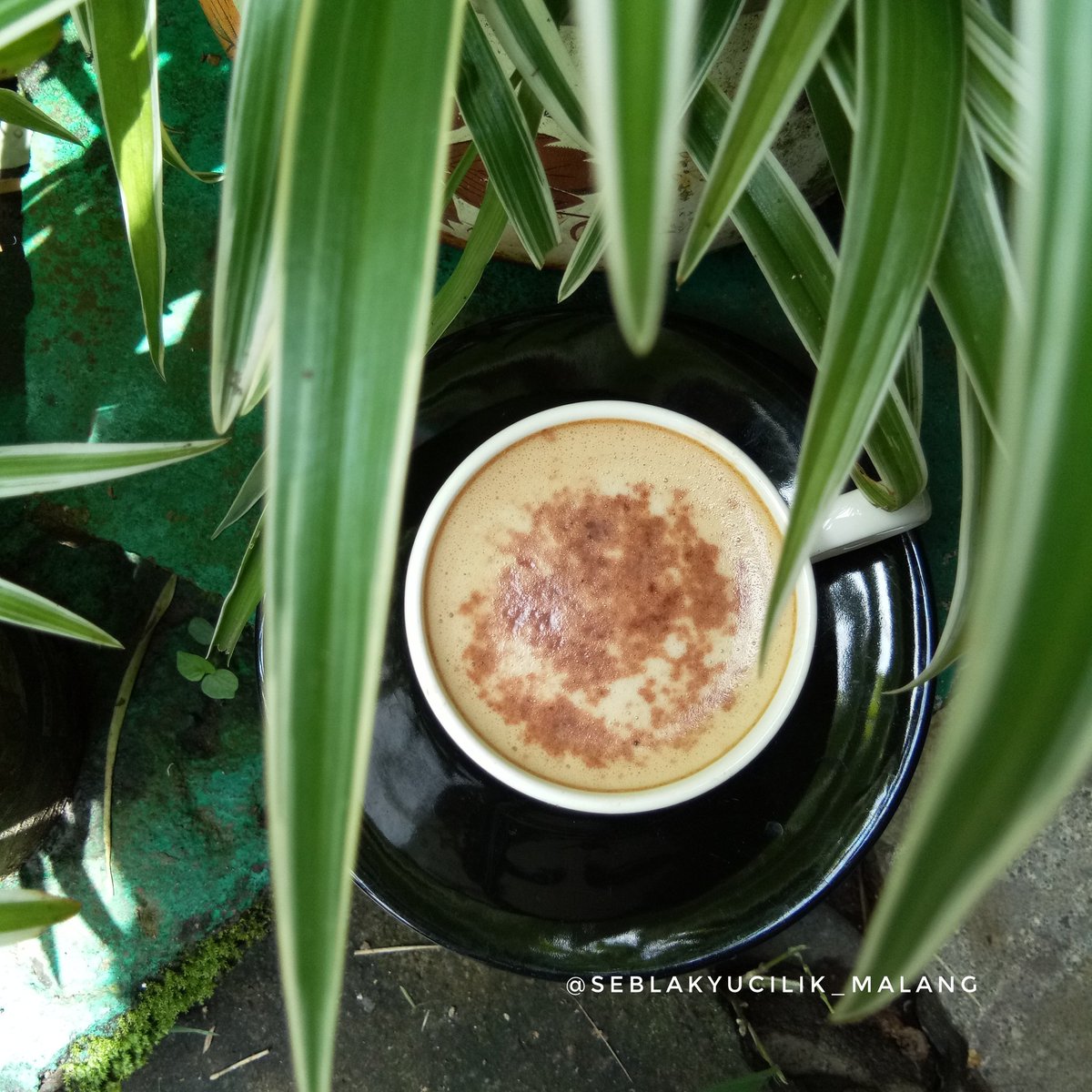 YuCilikMalang's tweet photo. Morning good people 🖤☕🍃 https://t.co/foDZlvLKO0