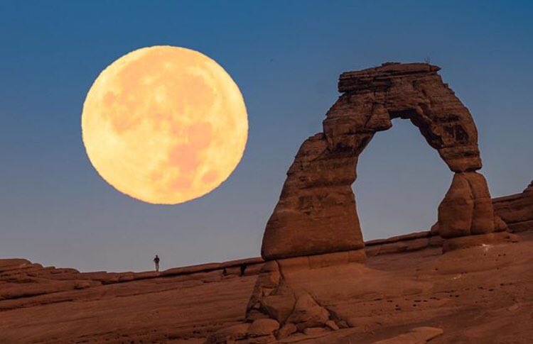 ClarkPlanet's tweet image. #AweYes Don’t miss the eclipse excitement!  Weather permitting, Clark Planetarium plans to live stream the Lunar Eclipse on our FB page. 

It will be another 19 years before we see another Super Blue Blood Moon in Utah.  Peak viewing time of the eclipse is 5am-7:30am.