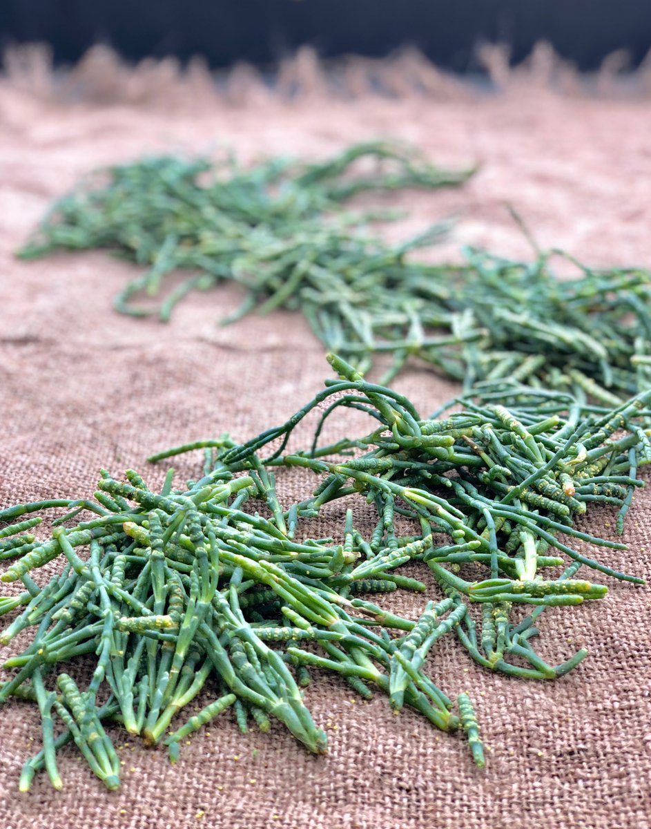 Sunshine, seaside, summer, succulents &amp; samphire. Quality@outbackpride proud to be #SouthAustralia  stockist for all @outbackpridefresh#chefs.