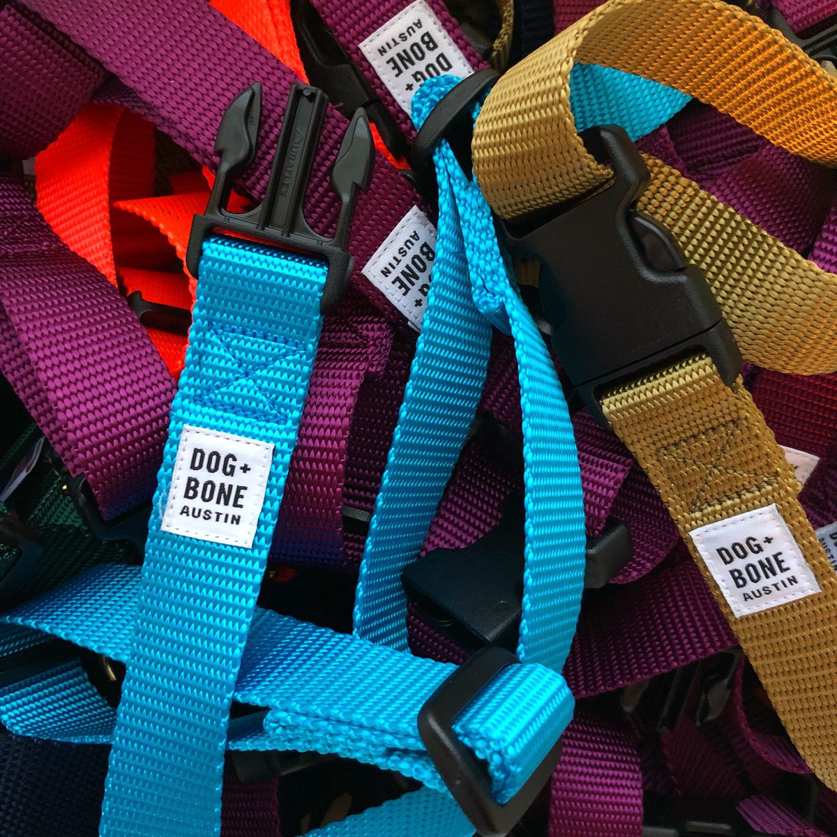 DogPlusBone's tweet image. Want to win a collar and leash AND $500 for your favorite 501(c)(3) rescue? Check out our Instagram feed for how to enter!