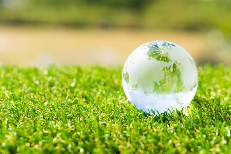 Средство для мытья экоклин. Проект чистая страна. Экология. Everydog-fund. Cleaner of the future.