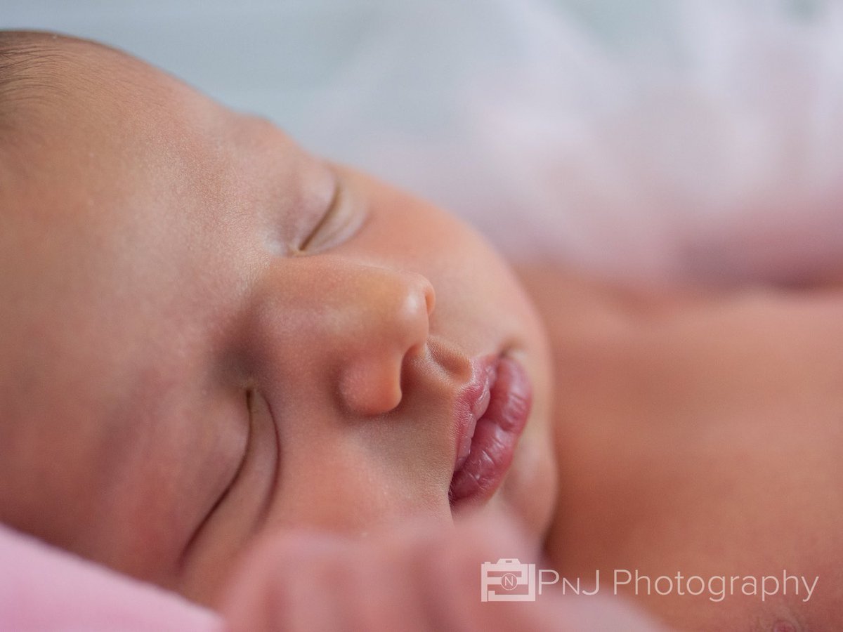 PhotographyPNJ's tweet photo. Pretty in pink 🎀 #newbornphotography #babygirl #littleprincess #newbornphotos #princess #newbornphotography https://t.co/5rOpOv1jbh
